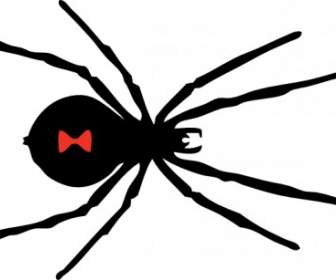 عنكبوت الأرملة السوداء قصاصة فنية