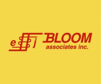 Bloom Associates