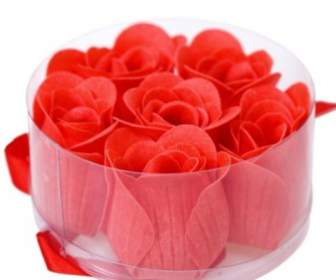 Blühen Rote Rosen Hd Bilder