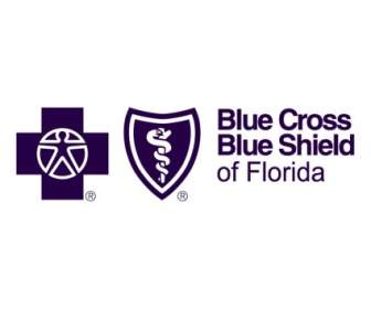 Голубой крест Голубой щит из Флориды