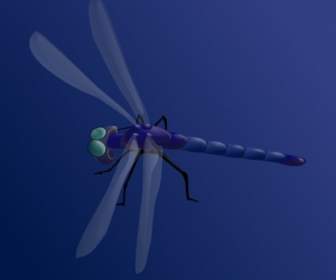 Biru Dragonfly Clip Art
