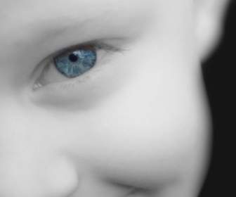 青い目
