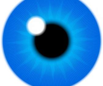 Occhio Blu Iride ClipArt