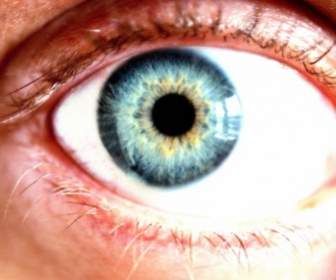 Macro De Olho Azul