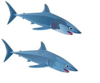 藍色鯊魚