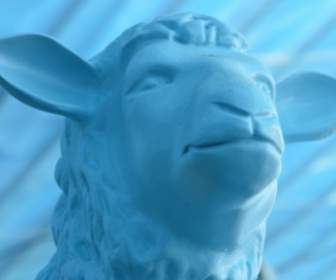 蓝蓝羊羊