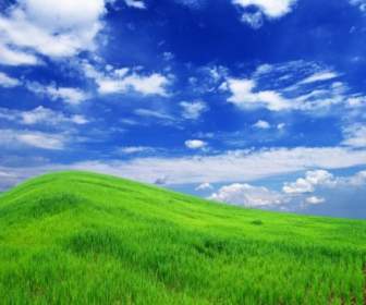 العشب السماء الزرقاء من الصورة هايديفينيشن العشب