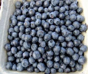 Makan Buah Blueberry