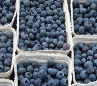 Blueberry Vaccinium Myrtillus Berries