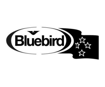 Mavi Kuş