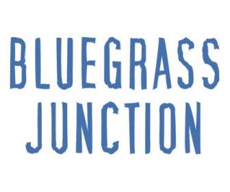 Cruce De Bluegrass