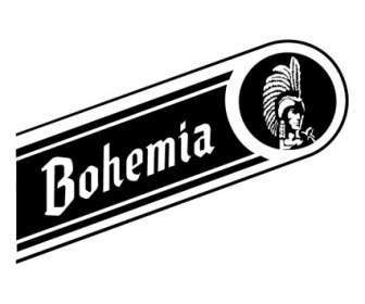 Böhmen Bier Cerveza