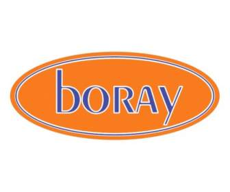 Motorlu Boray Araclar