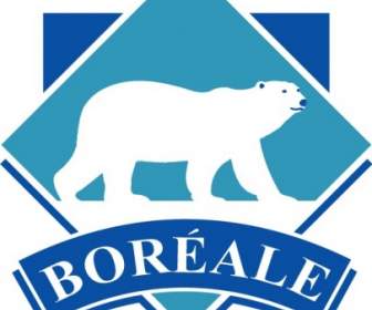 Logo Boreale