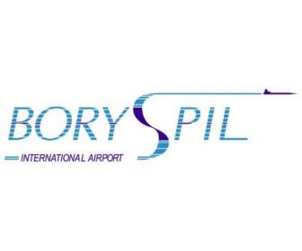 Bandar Udara Boryspol