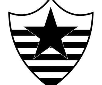 โบตาโฟโก Esporte Clube De Teresina ปี่