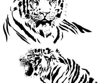 Harimau Hitam Dan Putih Kedua Vektor