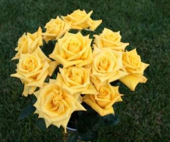 Bouquet De Roses Jaunes