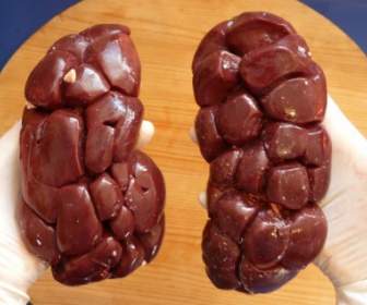 肉牛肉の牛の腎臓