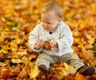 Boy Sitting In Park In Autumn