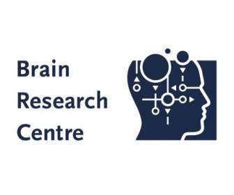 Centro De Investigação Do Cérebro