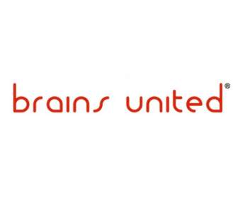 Gehirn Vereint