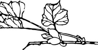 Branch With Flower Clip Art