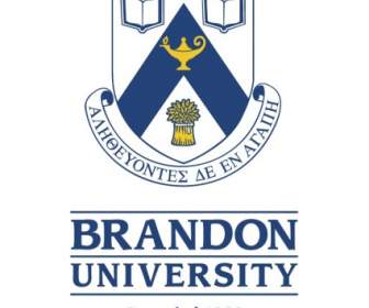 Universidade De Brandon