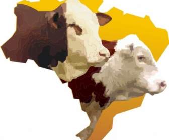 Brasil Peta Sedikit Pun Bulls Kepala