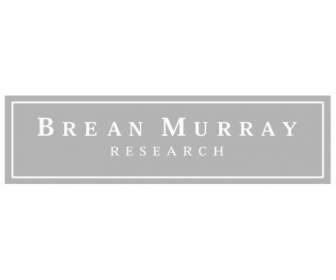 Brean Murray Penelitian