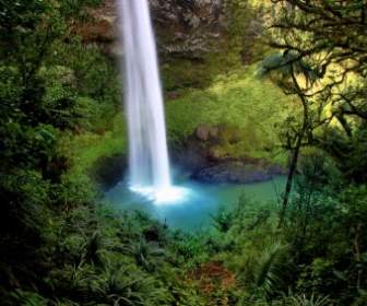 ブライダル ベールの秋の滝のニュージーランド