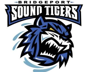 Бриджпорт звук Тигры