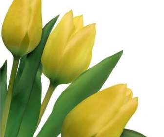Bright Tulips Vector