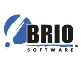 ซอฟต์แวร์ Brio
