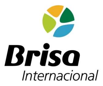 Brisa インターナショナル