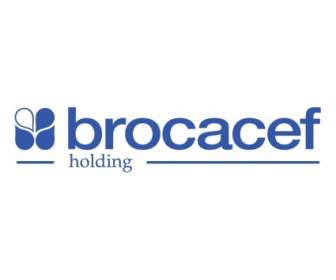 Brocacef Holding