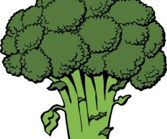 ClipArt Di Broccoli