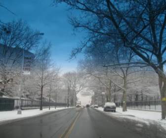 Brooklyn-winter