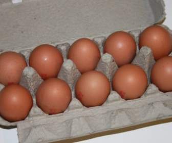 棕色紙箱雞蛋