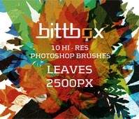 Brushes Leaves