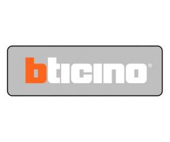 BTICINO Electric