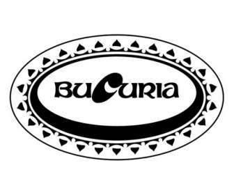 بوكاريا
