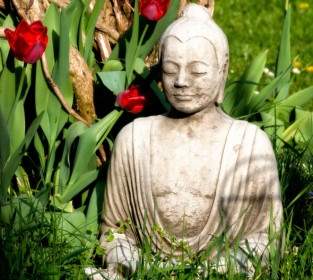Buddha Buddhism Religion