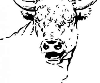 Bull Kepala Clip Art