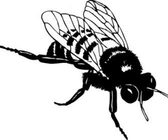 Bumble-Bee-ClipArt-Grafik