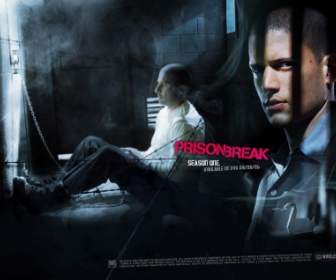 Burrows Scofield Films De Microsoft Wallpaper Prison Break