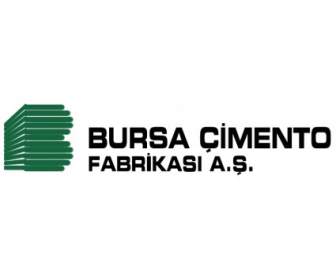Cimento De Bursa