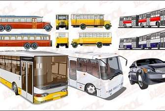 Buses Vector
