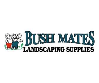 Bush Mates