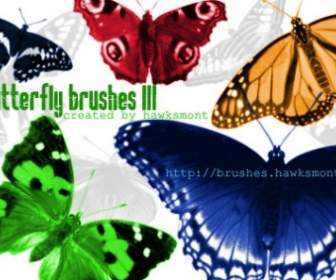 Butterfly Brushes Iii